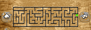 Crazy Maze